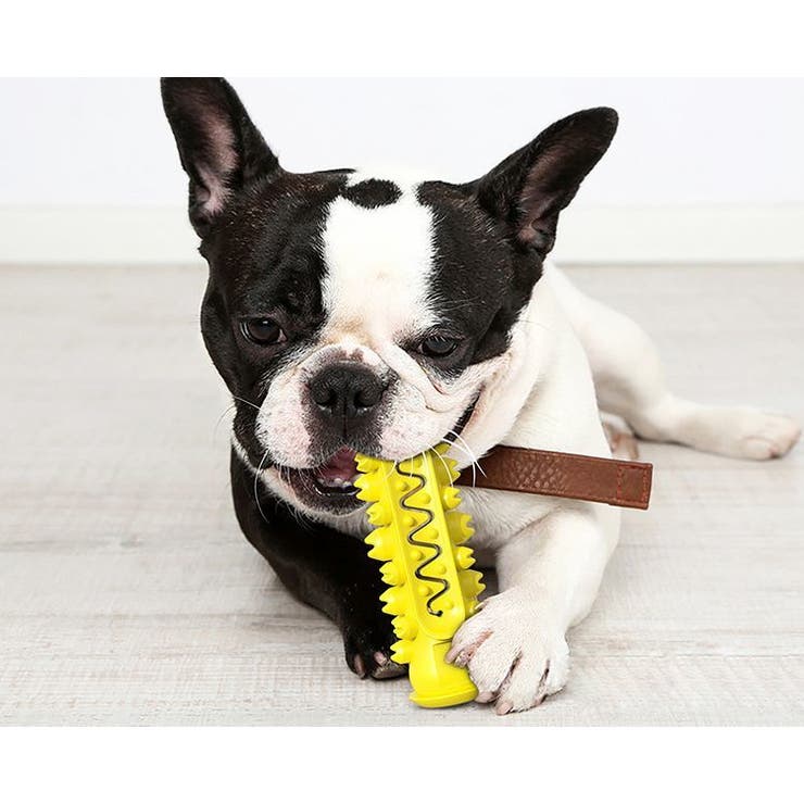 犬用 噛むオモチャ 噛んで歯磨き | PlusNao | 詳細画像4 