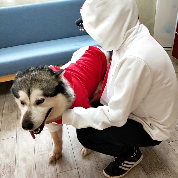 ペットウェア 犬服 パーカー | PlusNao | 詳細画像8 