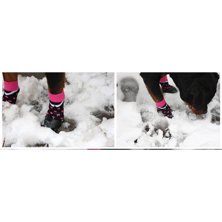 犬用ソックスシューズ 犬用靴 底部ラバー素材 | PlusNao | 詳細画像5 