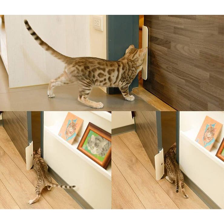 ペットドア ペット用 猫ドア | PlusNao | 詳細画像3 