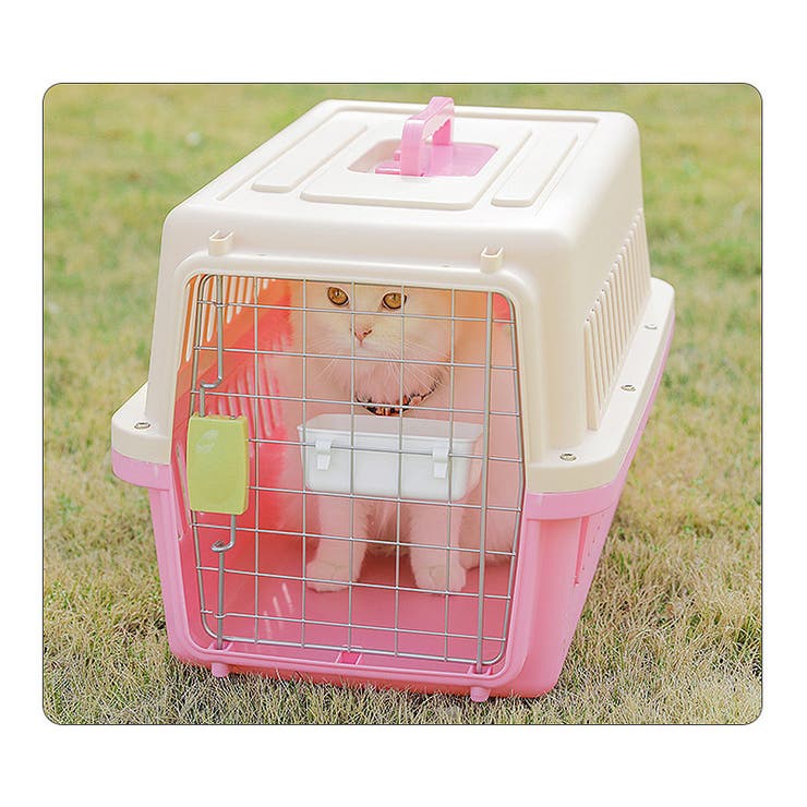 猫用食器 フードボール ペット用食器 | PlusNao | 詳細画像2 