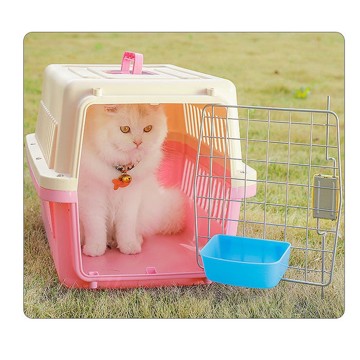 猫用食器 フードボール ペット用食器 | PlusNao | 詳細画像3 