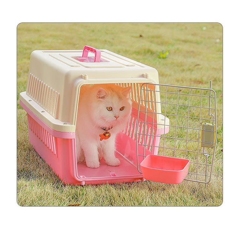 猫用食器 フードボール ペット用食器 | PlusNao | 詳細画像4 