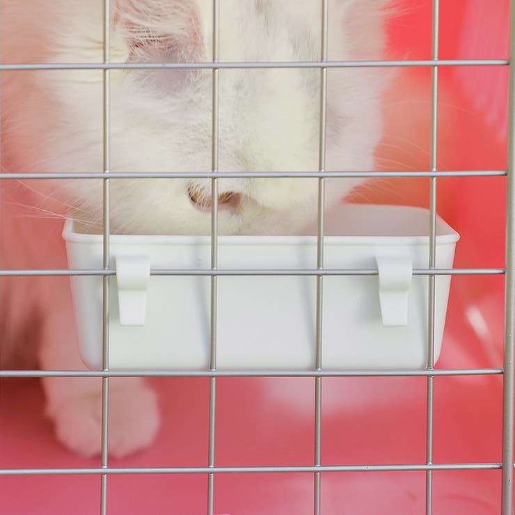 猫用食器 フードボール ペット用食器 | PlusNao | 詳細画像8 