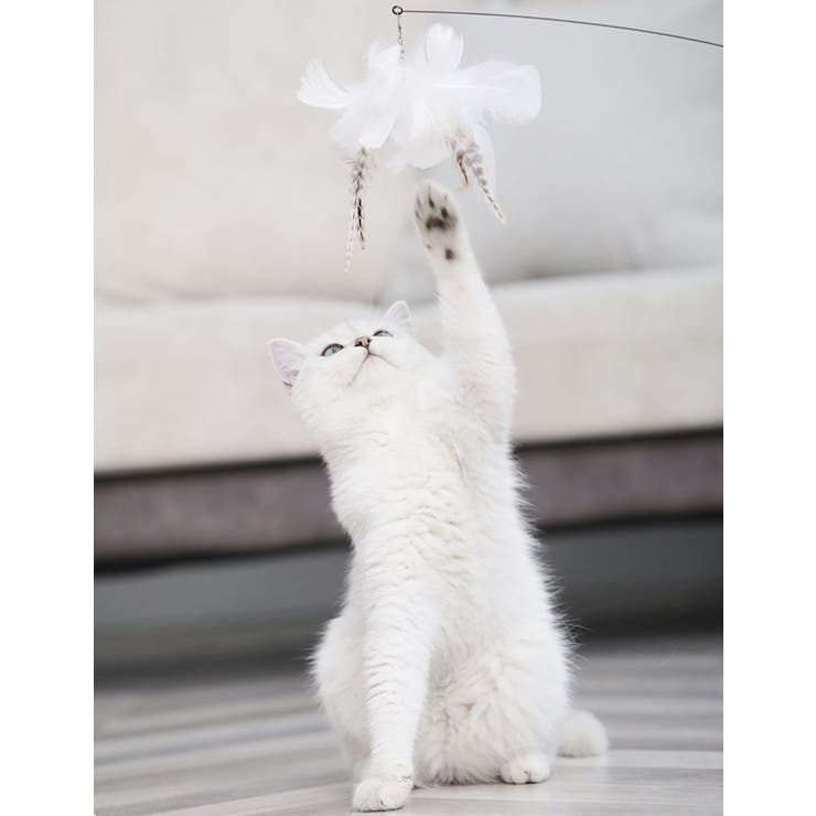 猫じゃらし 猫 ネコ | PlusNao | 詳細画像3 