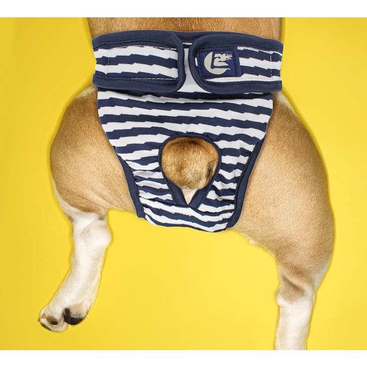 犬用サニタリーパンツ マナーパンツ 生理用パンツ | PlusNao | 詳細画像2