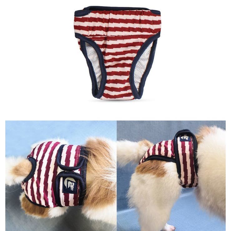 犬用サニタリーパンツ マナーパンツ 生理用パンツ | PlusNao | 詳細画像4