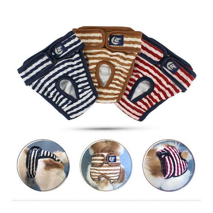 犬用サニタリーパンツ マナーパンツ 生理用パンツ | PlusNao | 詳細画像6