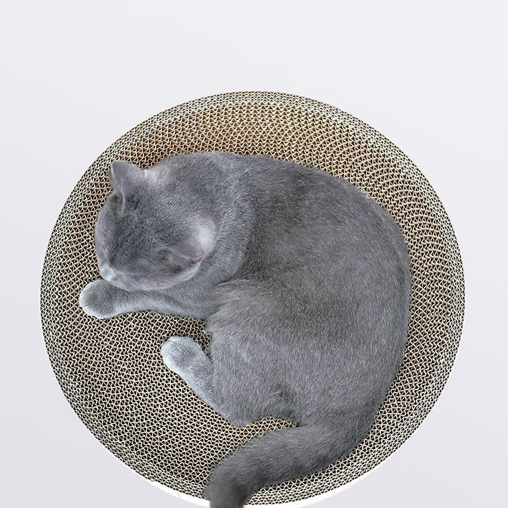 猫用 爪とぎ 爪磨き | PlusNao | 詳細画像12 