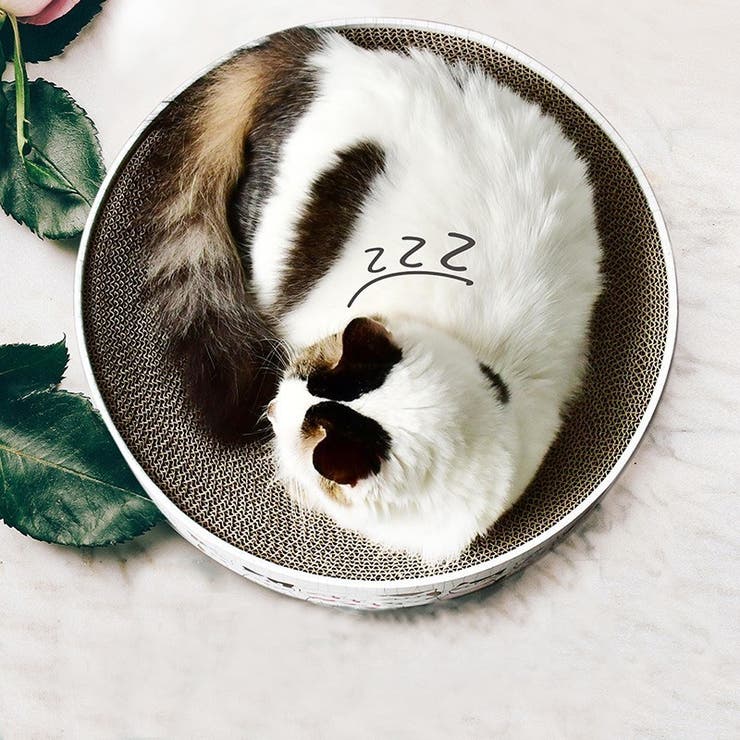 猫用 爪とぎ 爪磨き | PlusNao | 詳細画像3 