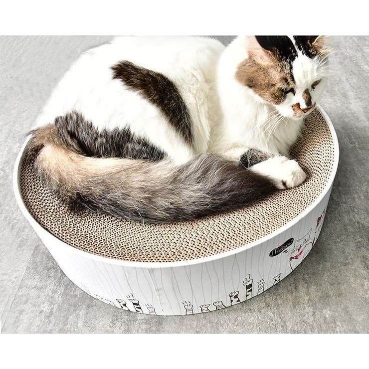 猫用 爪とぎ 爪磨き | PlusNao | 詳細画像4 