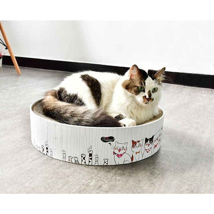 猫用 爪とぎ 爪磨き | PlusNao | 詳細画像5 