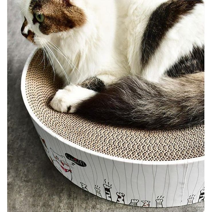 猫用 爪とぎ 爪磨き | PlusNao | 詳細画像7 