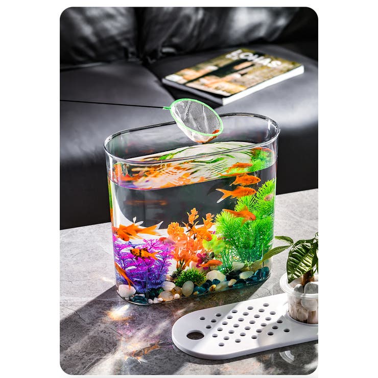 水槽 金魚鉢 飼育水槽[品番：FQ000198345]｜PlusNao（プラスナオ