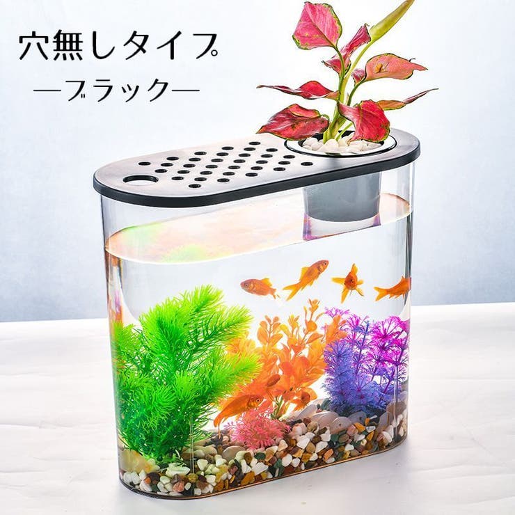 水槽 金魚鉢 飼育水槽 | PlusNao | 詳細画像19 