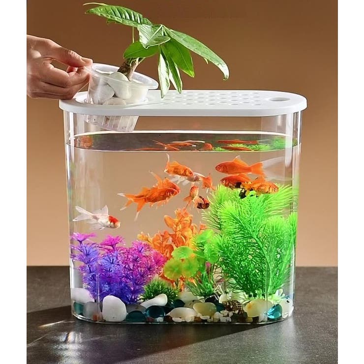水槽 金魚鉢 飼育水槽 | PlusNao | 詳細画像3 