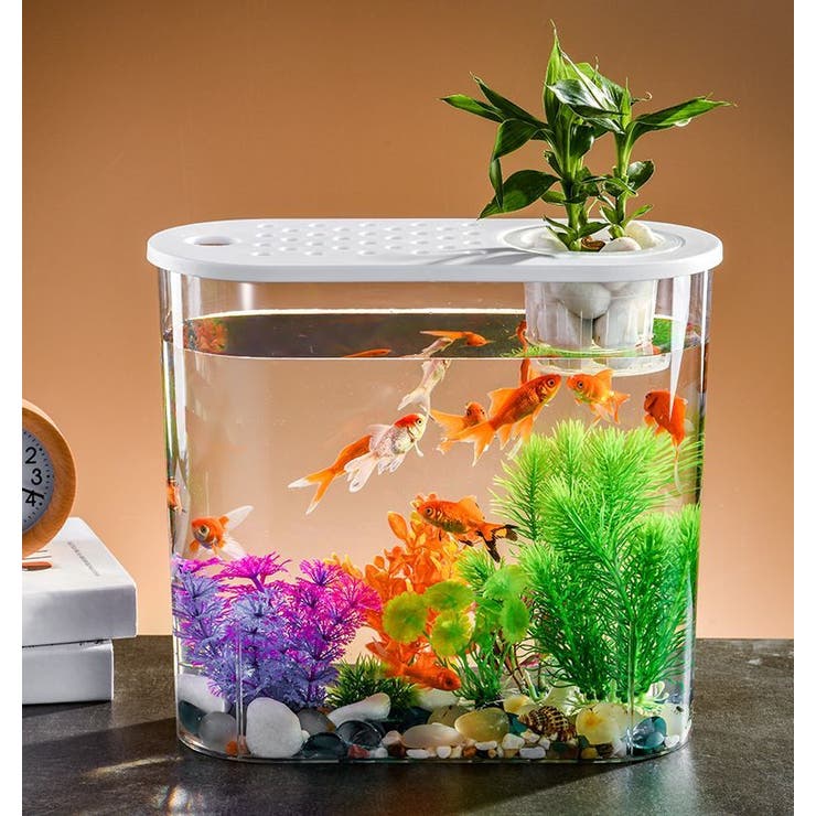 水槽 金魚鉢 飼育水槽 | PlusNao | 詳細画像9 