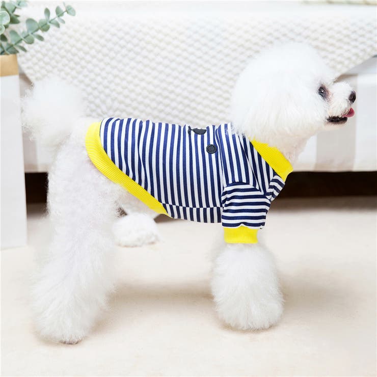 ドッグウェア トレーナー 犬服[品番：FQ000138953]｜PlusNao