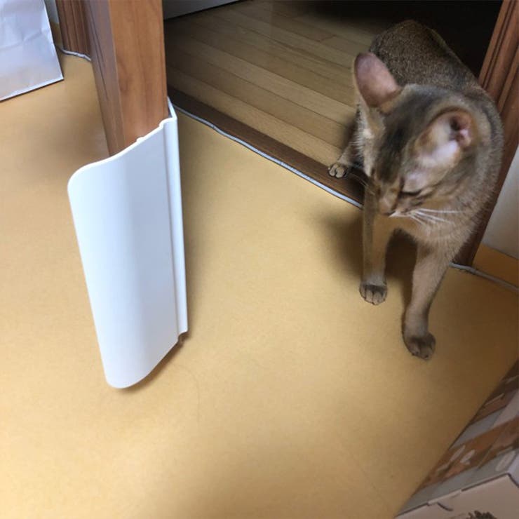 ペットドア ペット用品 犬ドア | PlusNao | 詳細画像3 