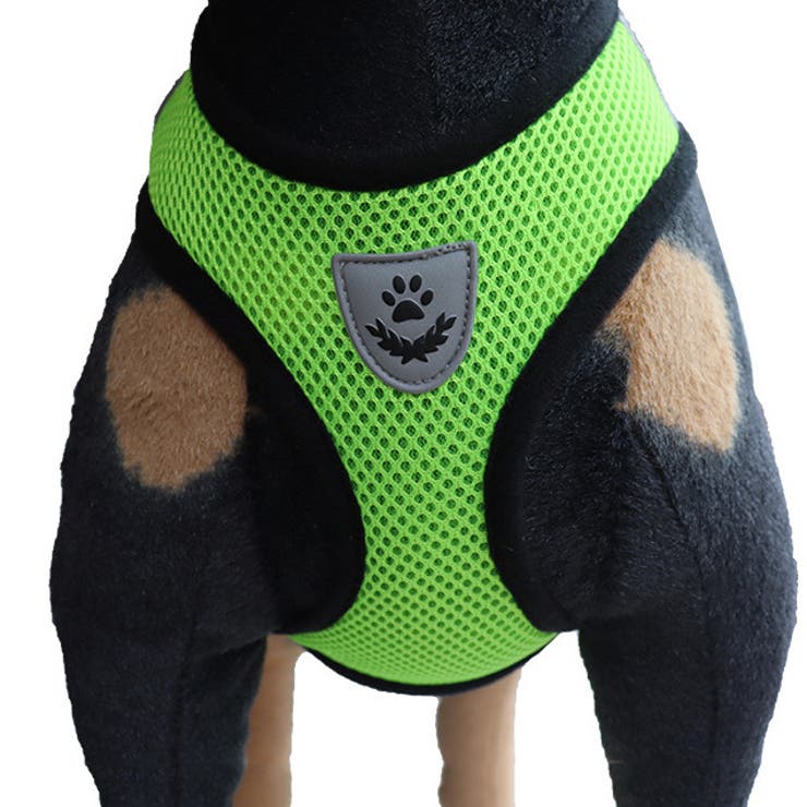 ハーネス リード 2点セット | PlusNao | 詳細画像2 