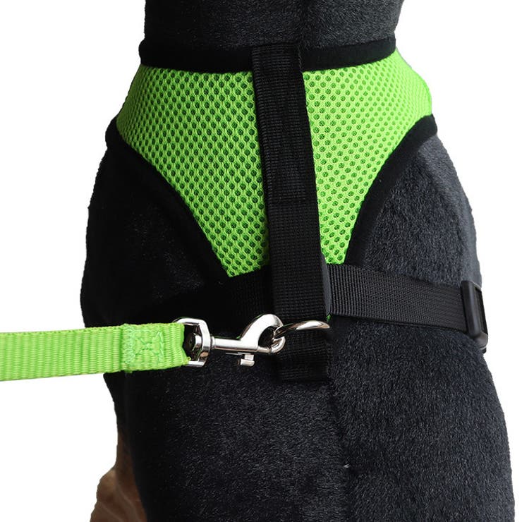 ハーネス リード 2点セット | PlusNao | 詳細画像3 