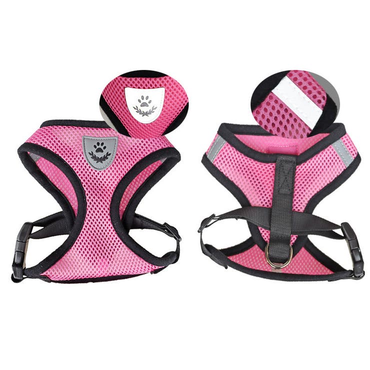 ハーネス リード 2点セット | PlusNao | 詳細画像5 