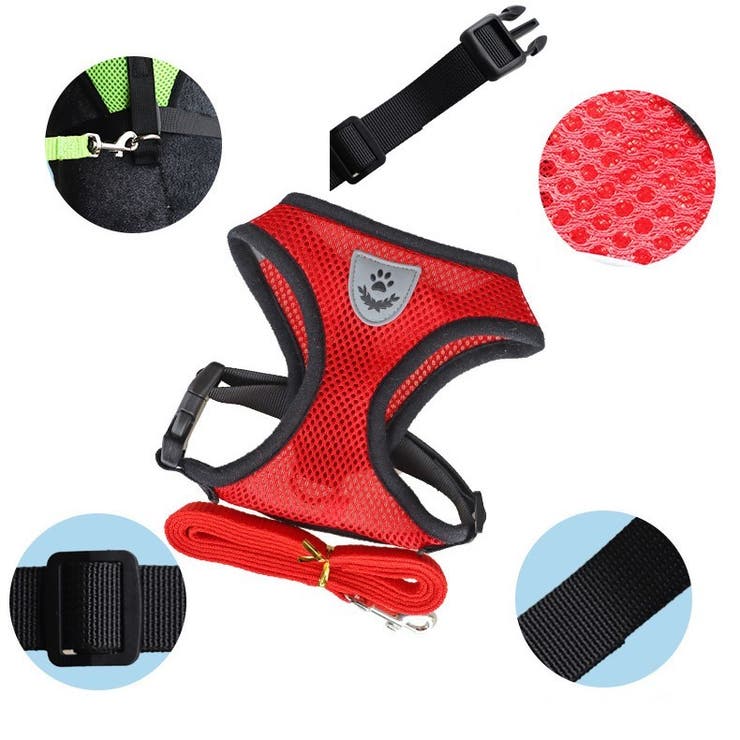 ハーネス リード 2点セット | PlusNao | 詳細画像6 