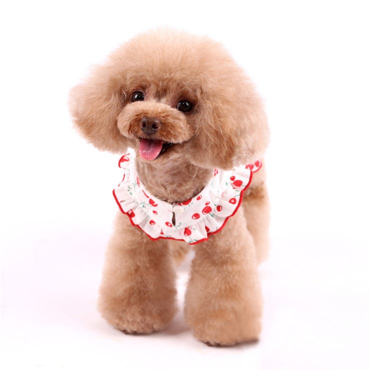 ペットウェア ワンピース 犬服 品番 Fq Plusnao プラスナオ のレディースファッション通販 Shoplist ショップ リスト