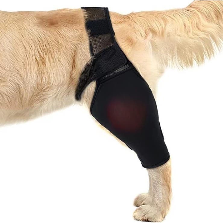 犬用サポーター 1枚 単品 | PlusNao | 詳細画像2 