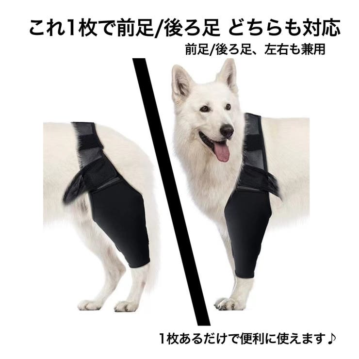 犬用サポーター 1枚 単品 | PlusNao | 詳細画像3 