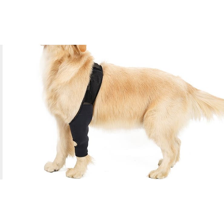 犬用サポーター 1枚 単品 | PlusNao | 詳細画像4 