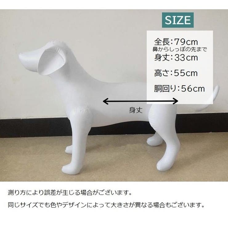 エアーマネキン トルソー 犬[品番：FQ000189656]｜PlusNao（プラスナオ