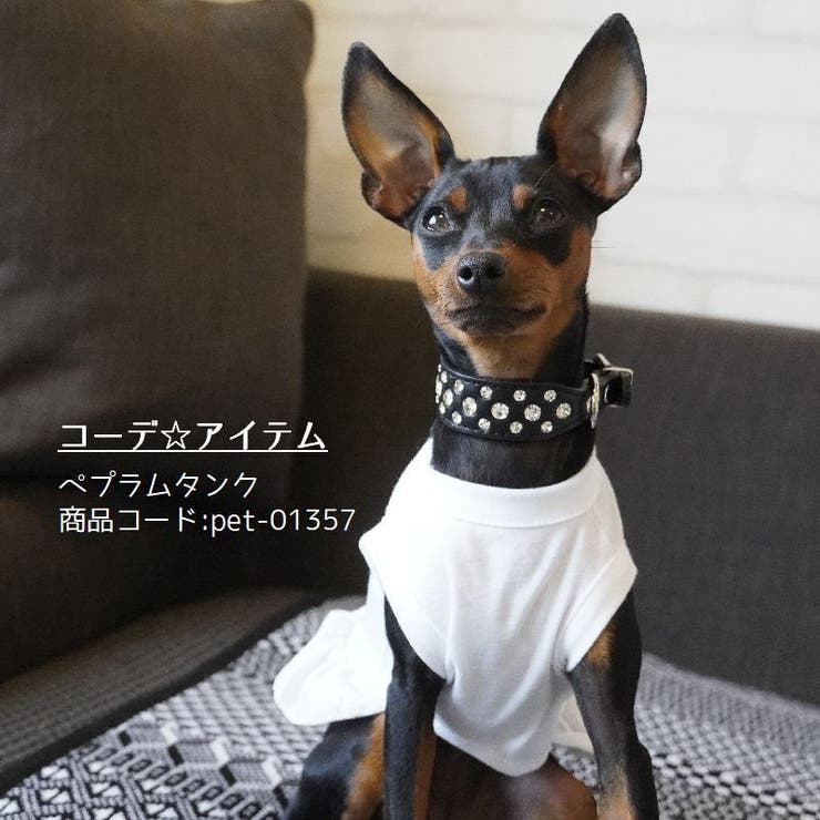 犬用首輪 猫用首輪 犬用 | PlusNao | 詳細画像3 