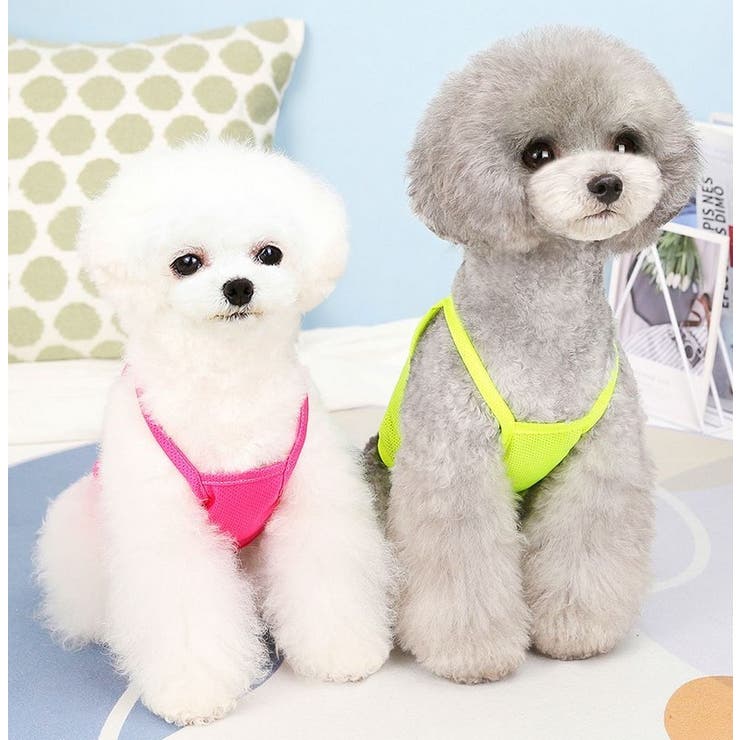 ペットウェア 犬服 猫服 | PlusNao | 詳細画像2 