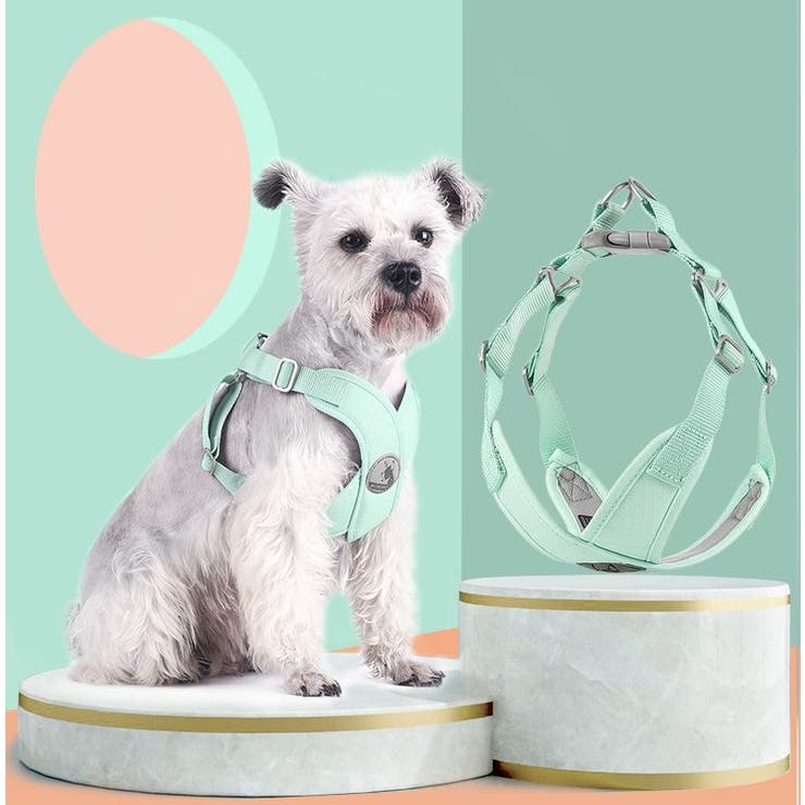 ハーネス 単品 胴輪 | PlusNao | 詳細画像3 