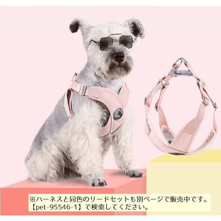 ハーネス 単品 胴輪 | PlusNao | 詳細画像4 