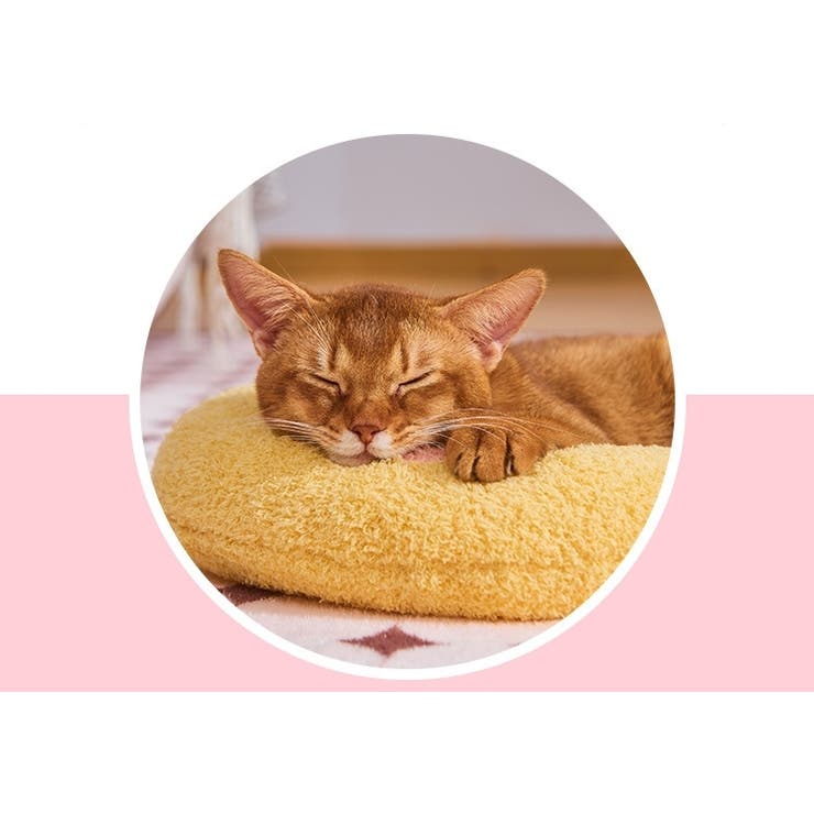 ペット用クッション 猫 犬 | PlusNao | 詳細画像4 