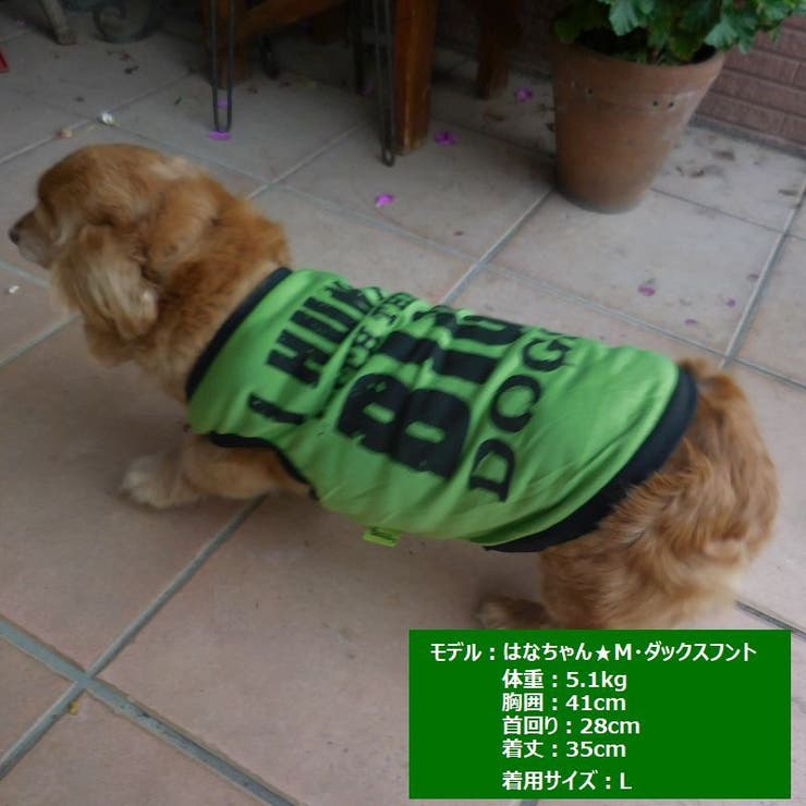 犬服 ドッグウェア ペットウェア | PlusNao | 詳細画像3 
