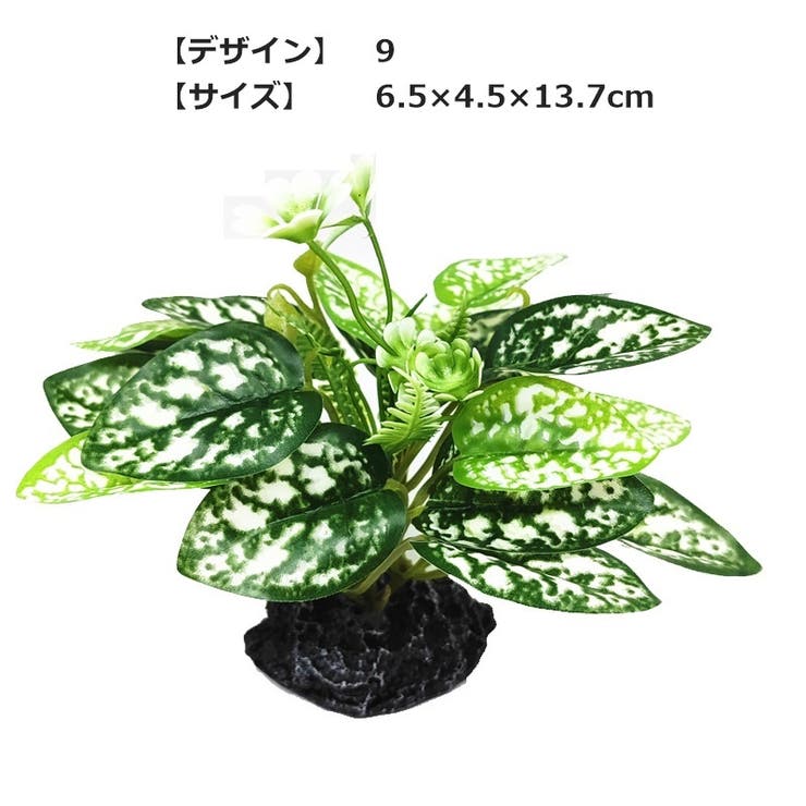人工プランツ 人工水草 アクアリウム用品 | PlusNao | 詳細画像11 