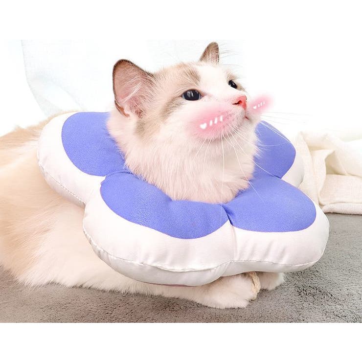エリザベスカラー ソフトカラー クッション | PlusNao | 詳細画像2 