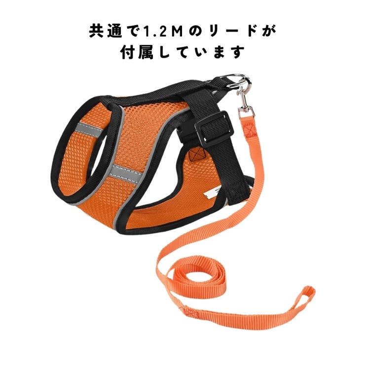 ハーネス リード 2点 | PlusNao | 詳細画像3 