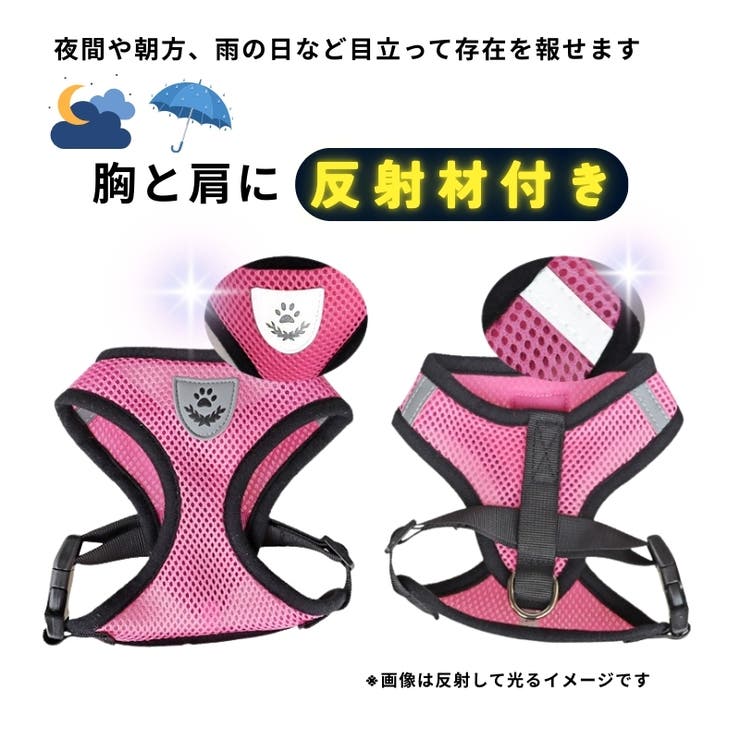 ハーネス リード 2点 | PlusNao | 詳細画像4 