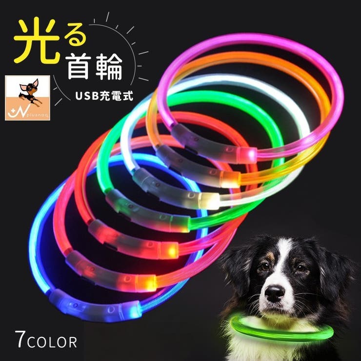 犬 用 光る 首輪 オレンジ 35cm 夜の散歩 LEDライト USB充電 安全 - 犬用品