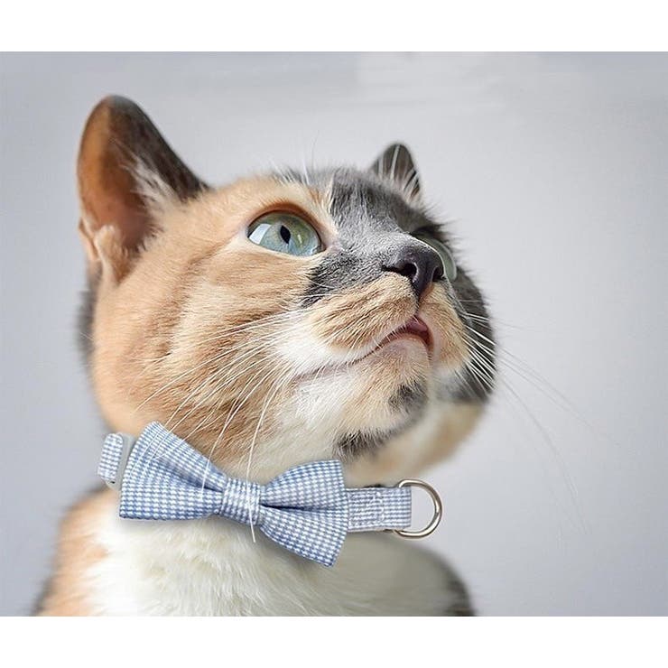 ペット用首輪 猫 犬 | PlusNao | 詳細画像3 
