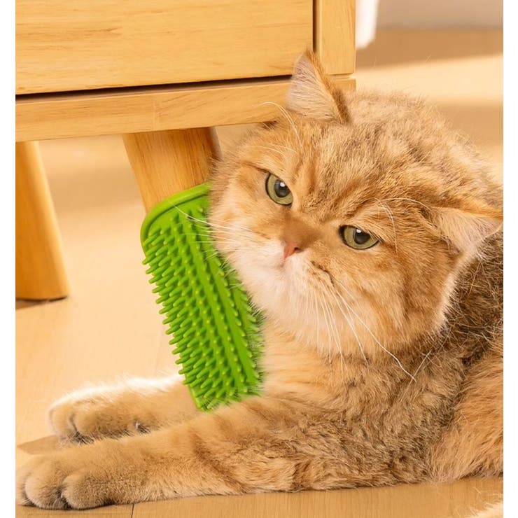 ペット用ブラシ 猫 犬 | PlusNao | 詳細画像5 