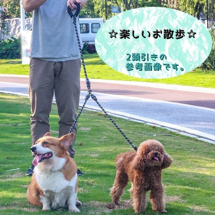 ペット用 3頭引きリード 犬用 | PlusNao | 詳細画像5 