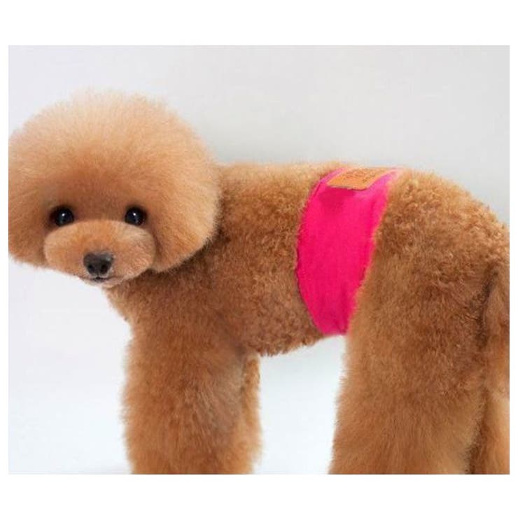 犬用マナーベルト 犬用マナーバンド 犬 用オムツカバー 品番 Fq Plusnao プラスナオ のレディースファッション通販 Shoplist ショップリスト 犬用マナーベルト 犬用マナーバンド 犬 用オムツカバー 品番 Fq Plusnao プラスナオ のレディースファッション通販 Shoplist ショップリスト