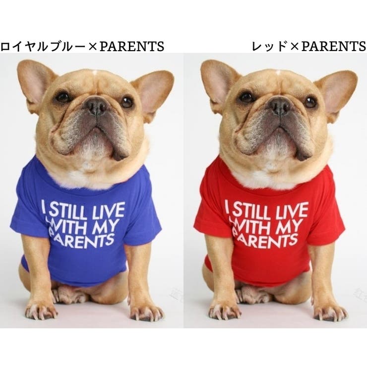 ペットウェア Tシャツ 犬服 | PlusNao | 詳細画像15 