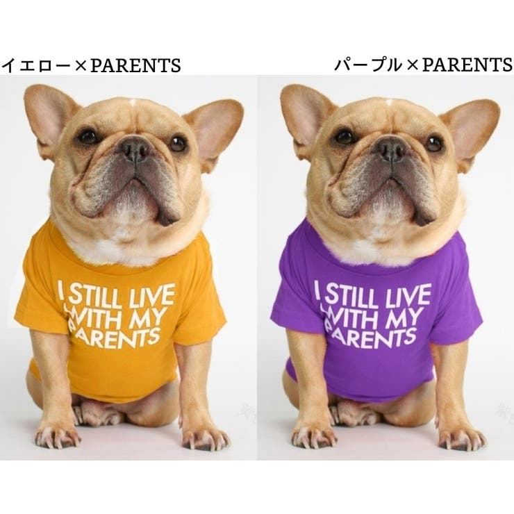 ペットウェア Tシャツ 犬服 | PlusNao | 詳細画像18 