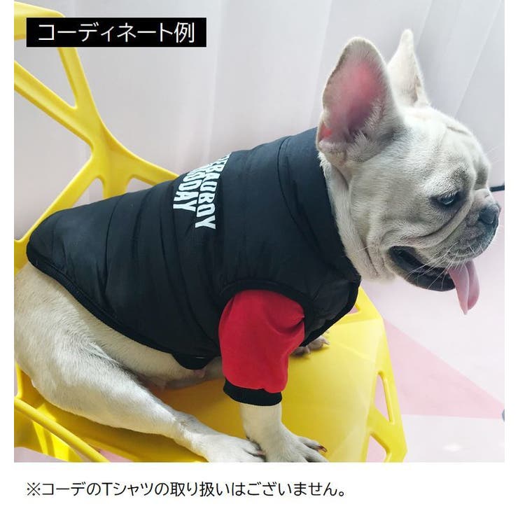 ドッグウエア ペットウェア 裏起毛ジャンパー | PlusNao | 詳細画像6 